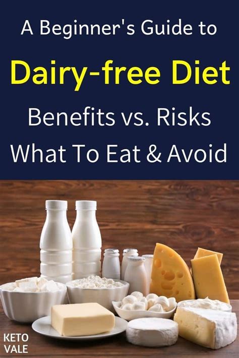 dairy  diet  beginners guide dairy  diet