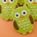 owl sugar cookie favors  color  dozen favors gift