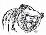 Bear Tribal Tattoo Drawing Drawings Growling Designs Deviantart Tattoos Choose Board Visit Getdrawings Logo sketch template