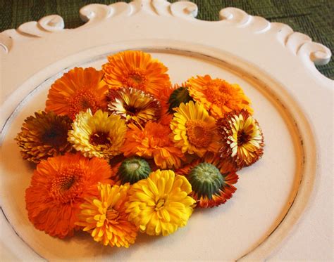 edible organic marigolds edible flowers full blooms micro size