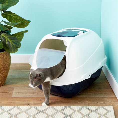 litter boxes  multiple cats   pick