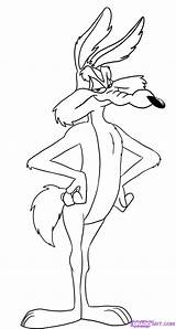 Coyote Looney Tunes Coloring Wile Pages Cartoon Drawing Road Runner Drawings Draw Da Colorare Disegni Color Easy Disney Characters Tattoo sketch template