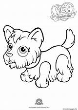 Coloring Parade Yorkshire Dog Cute Pet Pages Printable sketch template