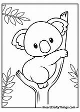 Sheets Iheartcraftythings Koala sketch template