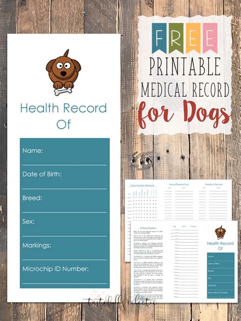printable pet health record  printable