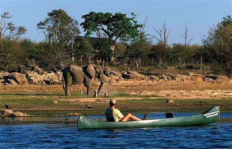 Chobe National Park Travel Guide Map And More