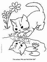 Coloring Cat Pages Book Printable Print Animal Kids Kittens Sheets Kitty Kitten Drawing sketch template