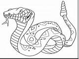 Rattlesnake Snake Designlooter sketch template