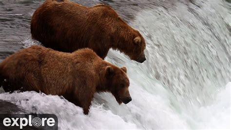 Brooks Falls Katmai National Park Alaska Powered By