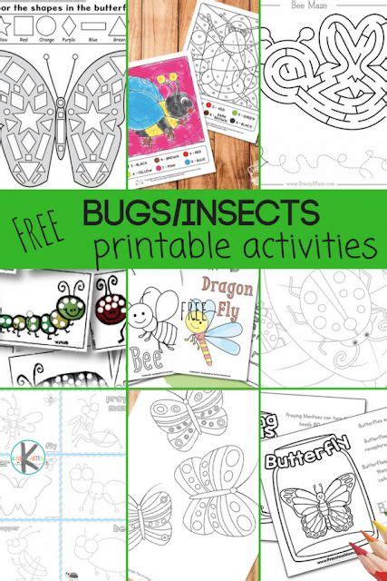 insect worksheets  kids    printable bug printalbes   kids practice