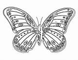 Metulji Pobarvanke Mariposas Monarch Motyl Kolorowanki Pobrania Bestcoloringpagesforkids Mariposa Wings Davemelillo sketch template