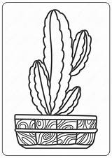 Cactus Coloring Prickly sketch template