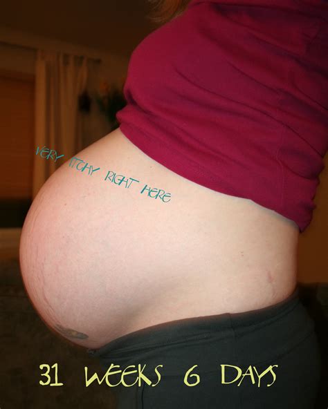 Big Bump At 16 Weeks Pregnant Phillip Beamon