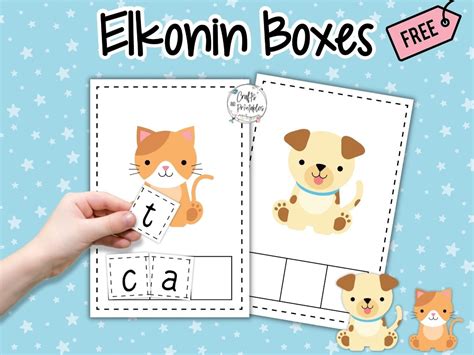 elkonin boxes word study  phonemic awareness
