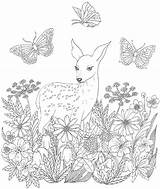 Coloring Pages Deer Meadow Doe Kids Drawing Color Butterfly Annie Doman Unknown Source Line sketch template