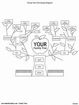 Stammbaum Familienstammbaum Vorlagen Genealogy Scouts sketch template