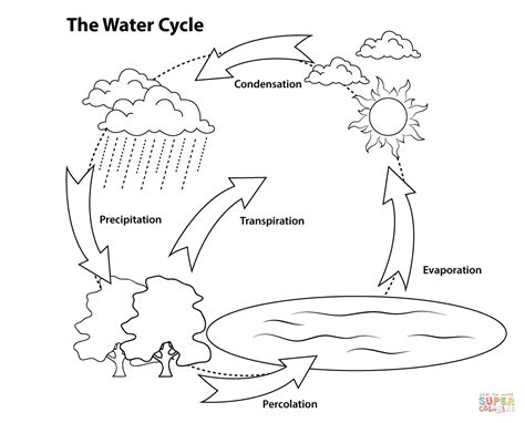 simple water cycle coloring page  printable coloring pages