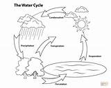 Coloring Pages Cycle Water Simple Printable Drawing sketch template