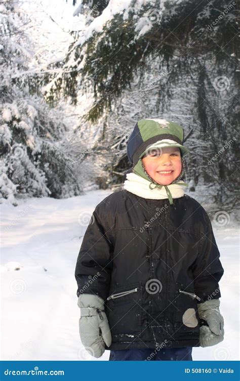 boy  winter stock photo image  people forest tree