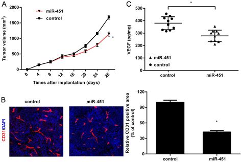 mir 451 acts as a suppressor of angiogenesis in hepatocellular