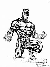 Panther Coloring Pages Marvel Brilliant Albanysinsanity sketch template