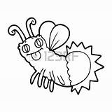 Glow Worm Firefly Drawing Clipart Getdrawings Cliparts Clipground sketch template
