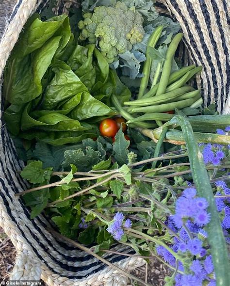 Gisele Bundchen Picks Fresh Food From A Garden With Her Daughter Vivian