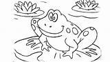 Coloring Pages Frog Printable Dressed Leapfrog Getting Leap Getcolorings Life Amphibian Coqui Cycle Animals Getdrawings Colorings Choose Board Gets sketch template