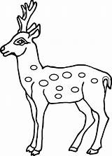 Deer Coloring Pages Spotted Printable Baby Outline Drawing Antler Kids Head Face Clipart Realistic Colouring Drawings Getcolorings Wecoloringpage Print Animal sketch template