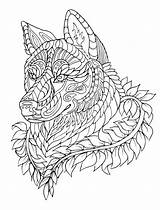 Coloring Pages Wolf Detailed Wolves Getcolorings Printable Color Print sketch template