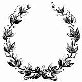 Wreath Vector Laurel Clip Clipart Vintage sketch template