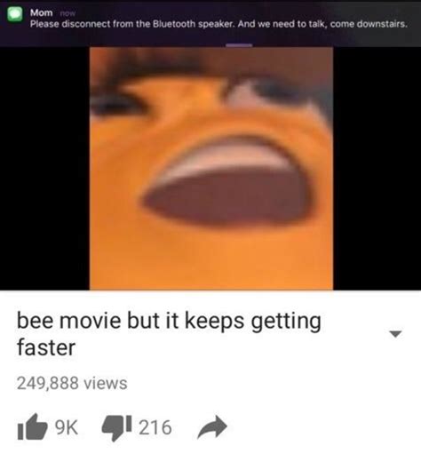 Bee Movie But Video Gallery Sorted By Low Score Know Your Meme