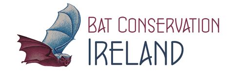 bat conservation ireland ien