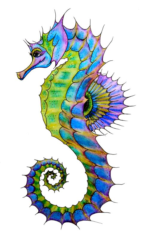 watercolour seahorse  skinandbones art  deviantart