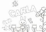 Carla sketch template
