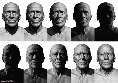 Anatomyreference 01 Old Male Lighting By Anatomy360 On