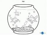 Fish Bowl Coloring Print Pdf sketch template