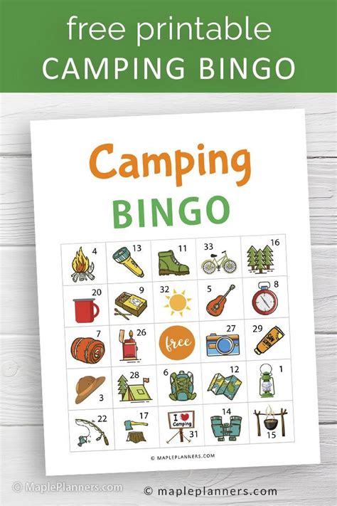 camping bingo  printable printable word searches