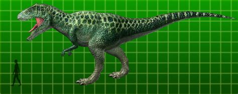 Carcharodontosaurus Dinosaur King Fandom Powered By Wikia