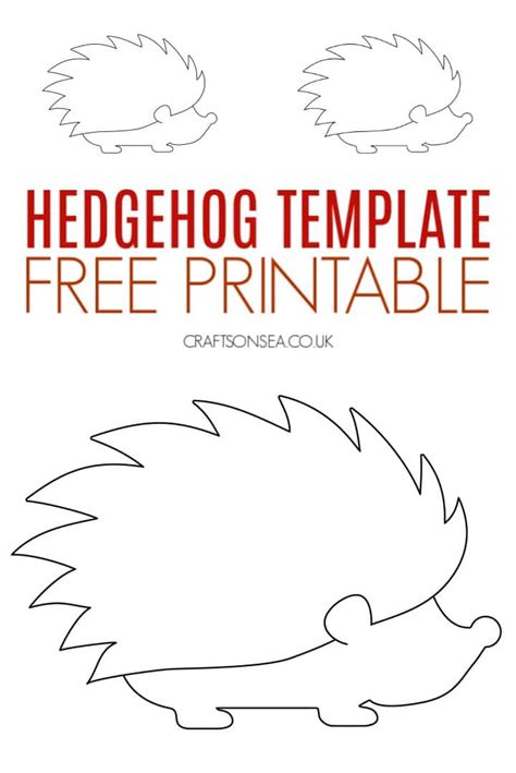 hedgehog template  printable  miif
