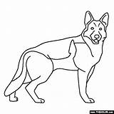 German Shepherd Coloring Pages Dog Drawings Dogs Color Drawing Shepherds Belgian Mix Easy Colouring Husky Thecolor Wolf Lineart Illustration Choose sketch template