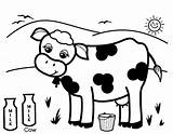 Cow Coloring Milk Pages Cows Produce Dairy Drawing Colouring Printable Healthy Cute Kids Color Adults Getcolorings Baby Cookies Cattle Getdrawings sketch template