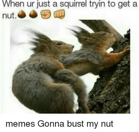 Search Bust A Nut Memes On Me Me