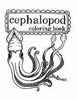 Coloring Mollusc Printable Squid Pages Designlooter Books Squids Super Choose Board Sabina sketch template