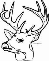 Deer Wecoloringpage sketch template