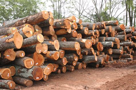 wri estimates global demand  lumber  increase   cent  contrast  general world