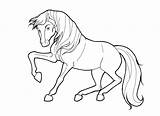 Coloring Pages Stallion Horse Miniature Getdrawings Printable Getcolorings Colorings sketch template