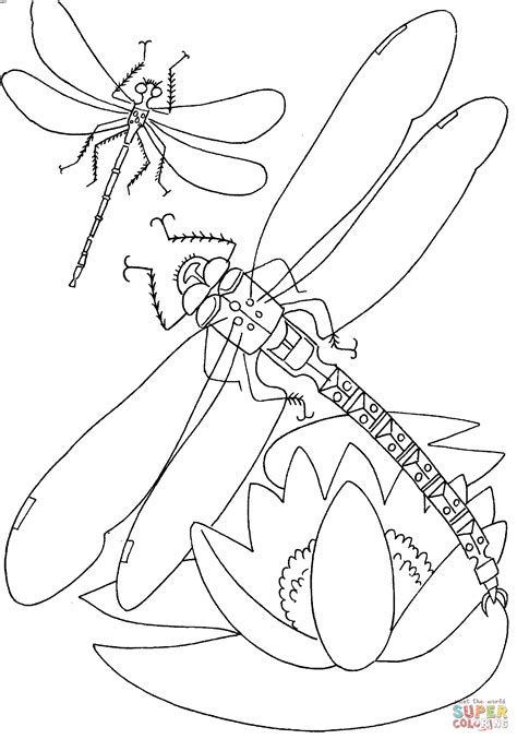 dragonfly   flower coloring page  printable coloring pages