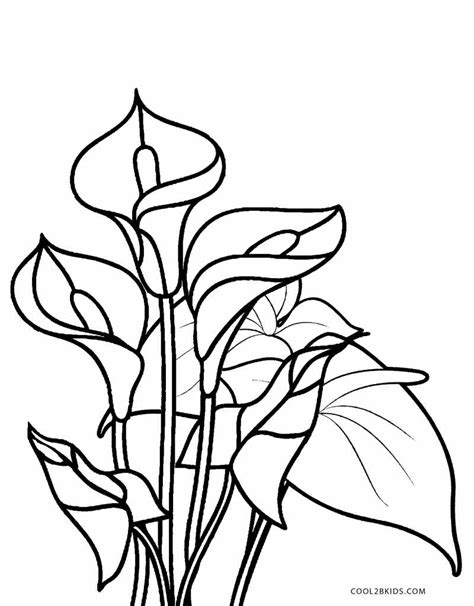 printable flower coloring pages  kids coolbkids