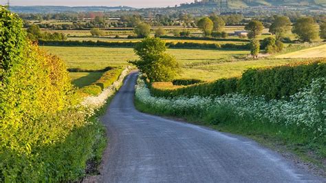 driving tips  devons country lanes guides toad hall cottages